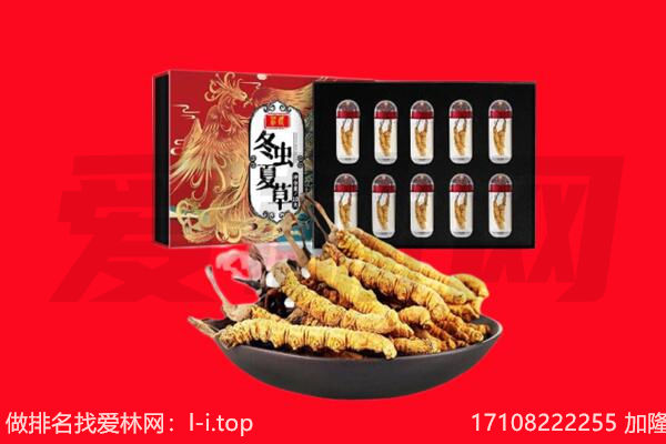 赤峰元宝山区回收虫草.jpg